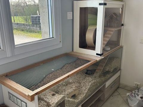 Grande cage avec meuble et gerbilles 100 44850 Le cellier