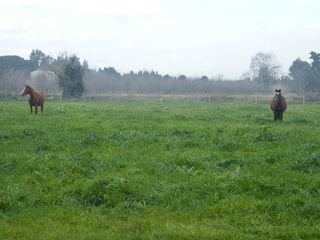  Terrain � vendre 10000 m�