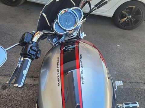 Moto HARLEY-DAVIDSON 2006 occasion Magny-Danigon 70200