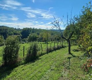  Terrain � vendre 2000 m�