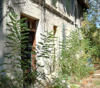  Maison � vendre 6 pi�ces 223 m�