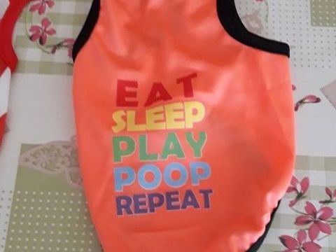 Tee-shirt Chien mode maison animaux vetement accessoires TV 2 57280 F�ves