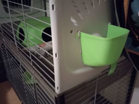 Cage &agrave; lapins double 50 37140 Bourgueil