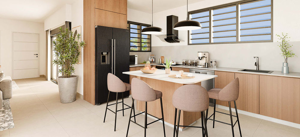 Appartements neufs   Saint-Denis (97400)