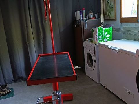 Table toilettage chien 110 81200 Mazamet