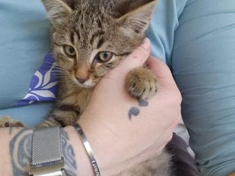 ATLAS 100 27640 Breuilpont