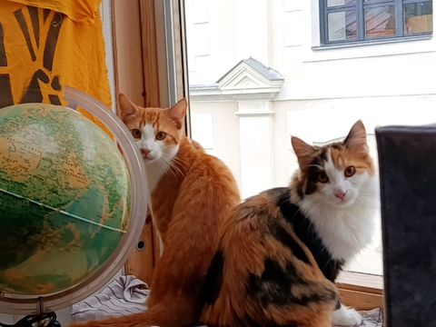 Birlou & Lorna 200 44000 Nantes