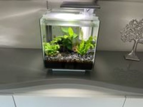   Aquarium 