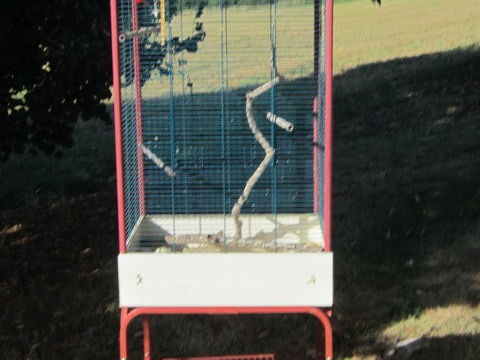 cage oiseaux 35 71370 L'abergement-sainte-colombe