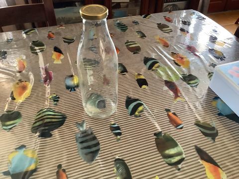 A vendre bouteille � jus 0.6 Aubin (12)