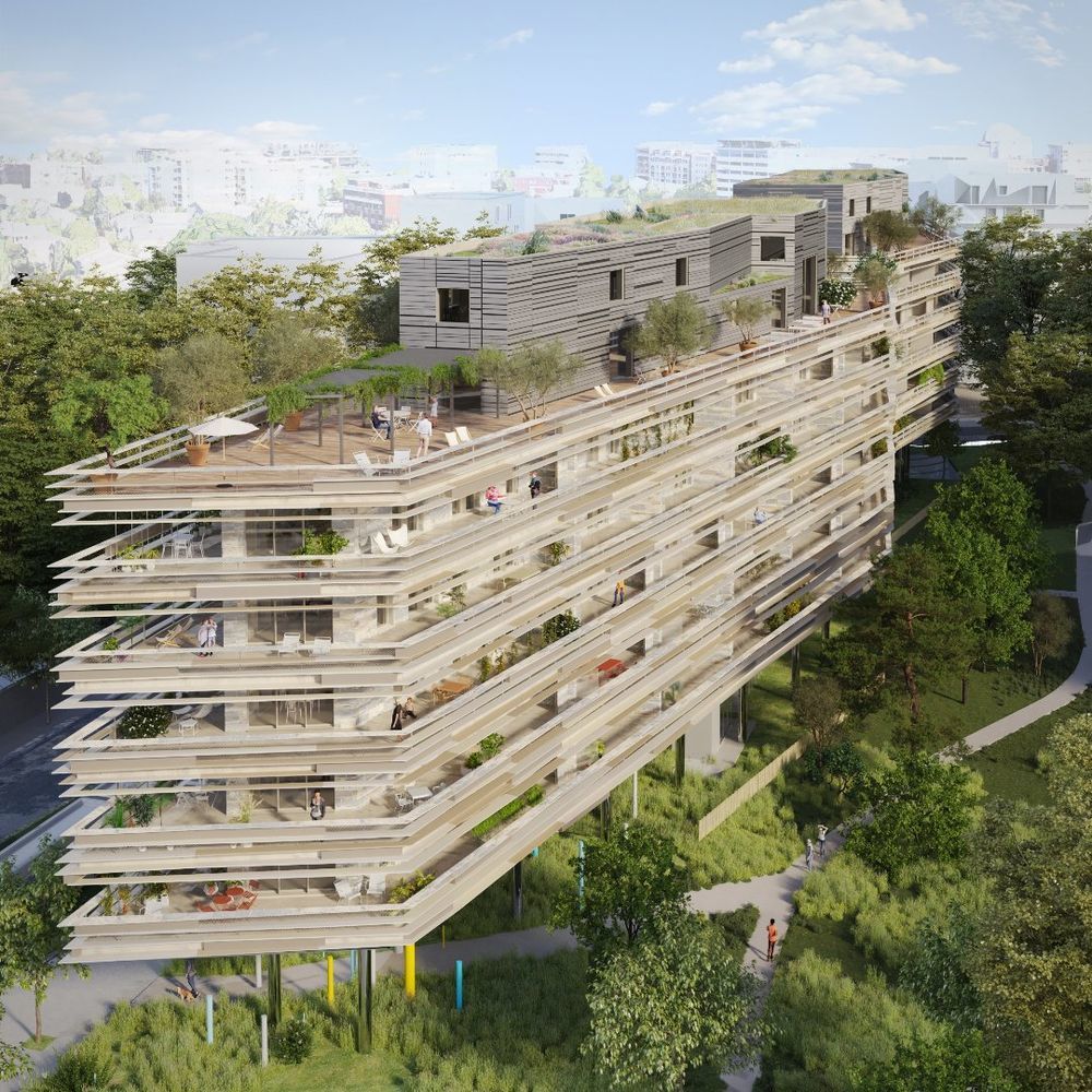 Appartements neufs   Montpellier (34000)