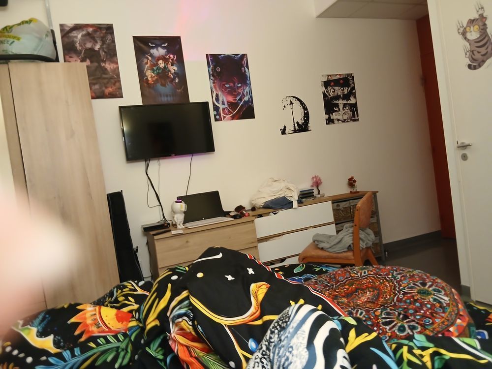 Location Chambre Recherche chambre vide avec coin cuisine pas de colocataires Vannes