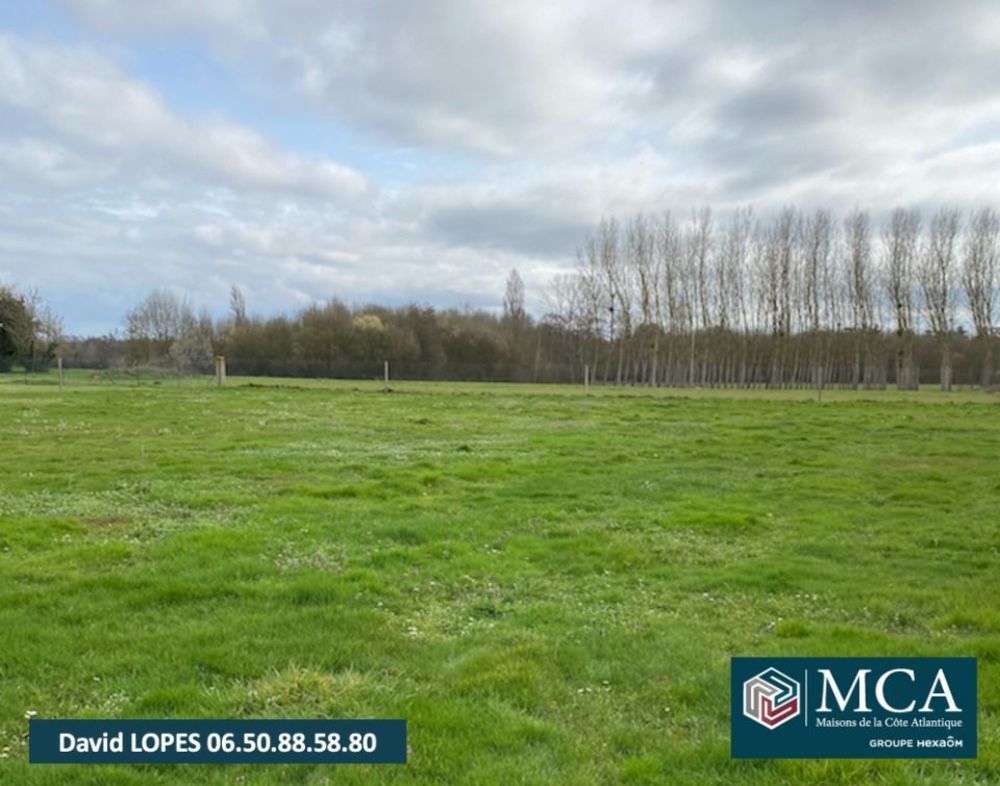 Maisons neuves   Montcaret (24230)