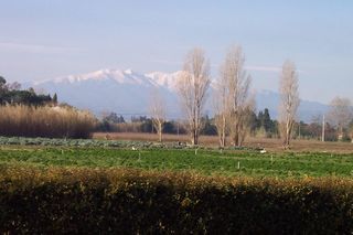  Terrain � vendre 10000 m�