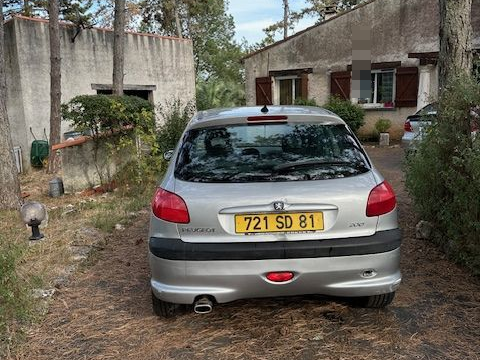 Peugeot 206 2.0e 16V S16 2001 occasion Le Garric 81450