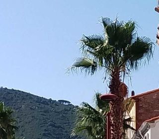  Appartement � louer 1 pi�ce 13 m�