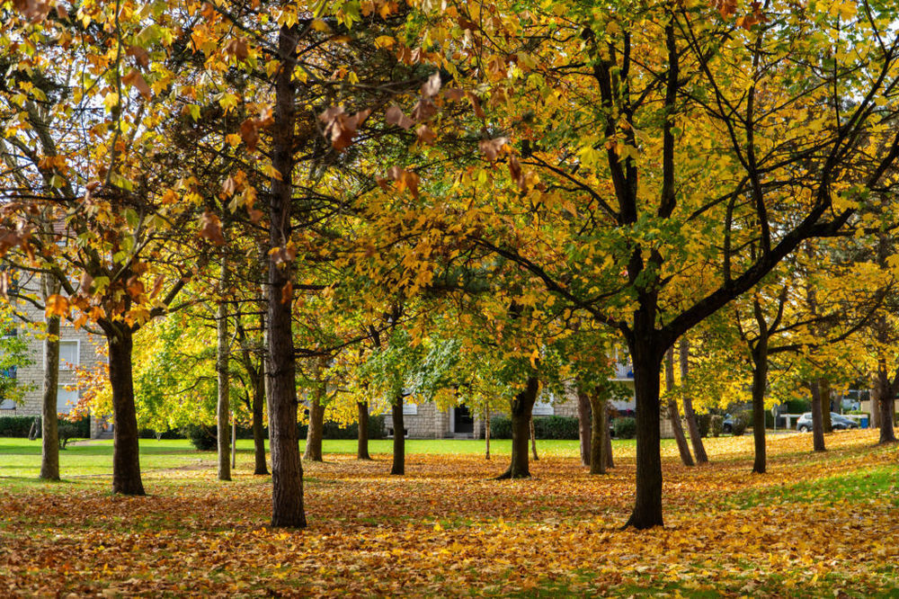 Appartements neufs   Dugny (93440)