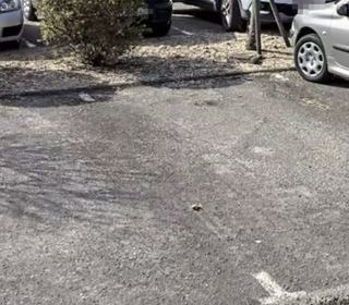  Parking / Garage � louer 12 m�