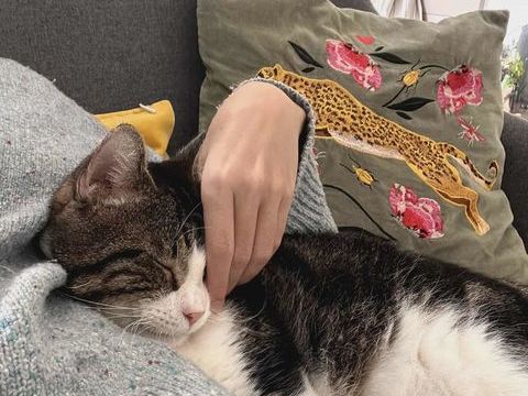 Miloé cherche sa famille pour la vie 180 93400 Saint-ouen