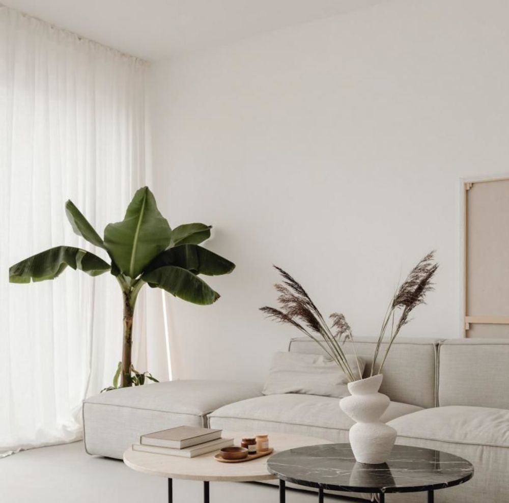 Maisons neuves   Toulouse (31100)