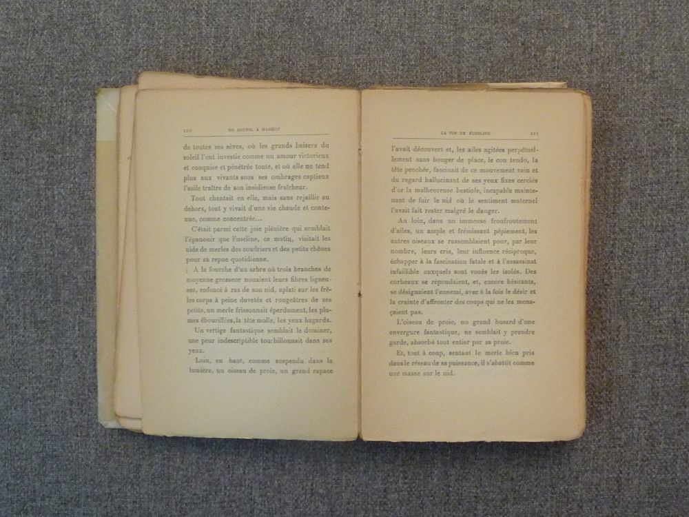 De Goupil &agrave; Margot- Histoires de B&ecirc;tes- Louis Pergaud- 1910 Livres et BD