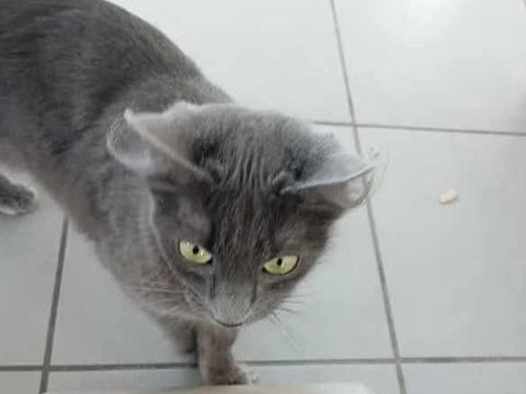 Bichette 180 26100 Romans-sur-is�re