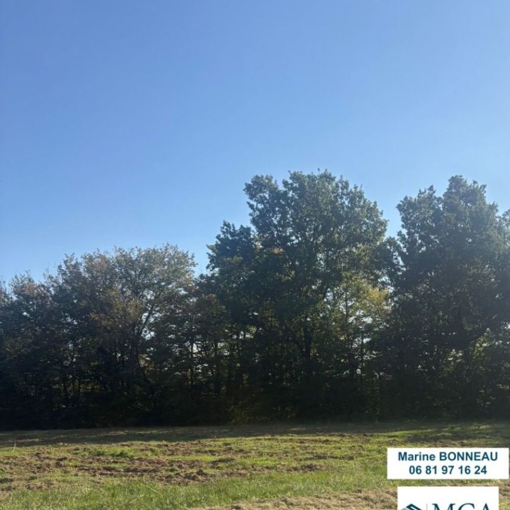 Maisons neuves   Cadarsac (33750)