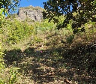  Terrain � vendre 1735 m�