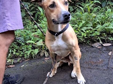 A&Iuml;KO la douceur 350 62000 Arras