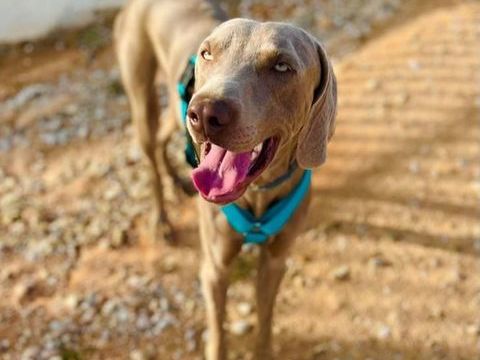 ARES 300 95610 �ragny