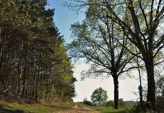  Maison � vendre 5 pi�ces 96 m� �gliseneuve-pr�s-billom