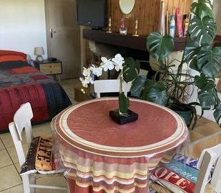  Appartement � louer 1 pi�ce 35 m�