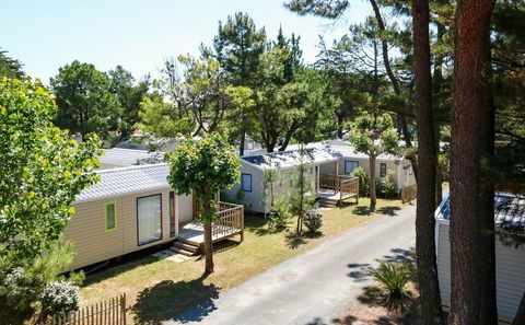 Mobil-Home Mobil-Home 2012 occasion Saint-Hilaire-de-Riez 85270