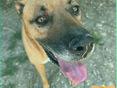 Milton 130 26700 Pierrelatte