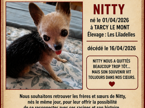 A la recherche d'une trace familiale. 0 83250 La londe-les-maures