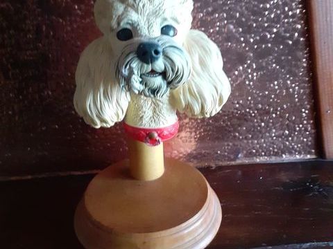 Tête de chien 8 25350 Mandeure