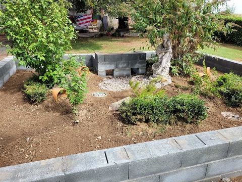 Recherche tortue terrestre. 
1 81340 Cadix