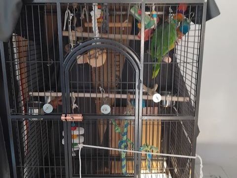 Cage xxl 300 44150 Ancenis