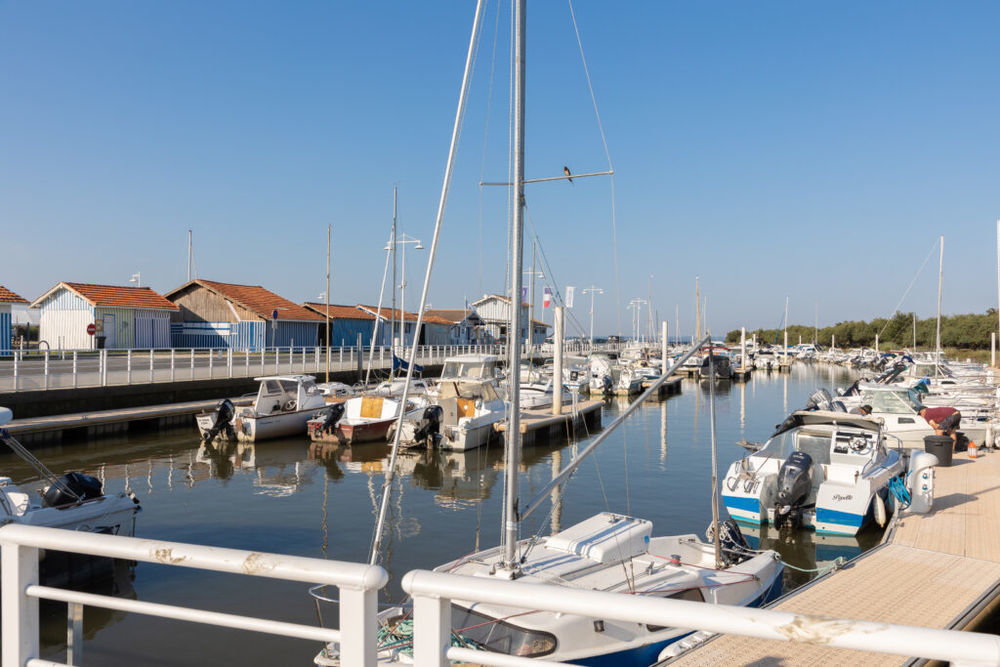 Appartements neufs   Audenge (33980)