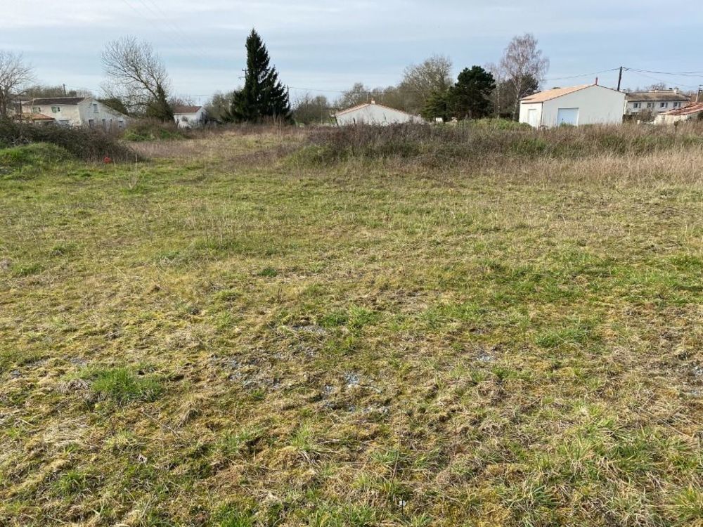 Maisons neuves   Le Mung (17350)