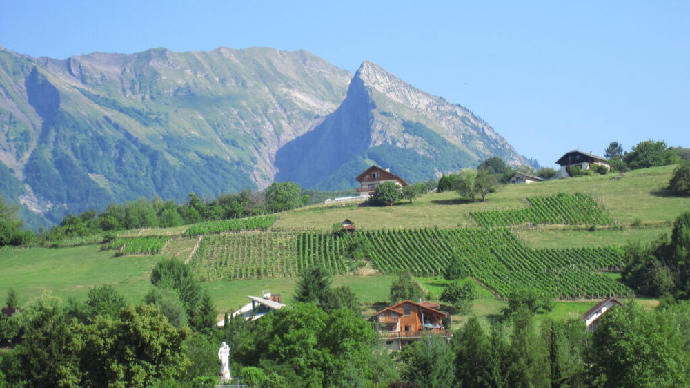 Appartements neufs   Albertville (73200)