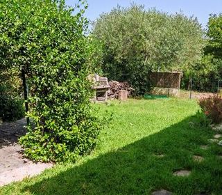  Maison � vendre 3 pi�ces 35 m�