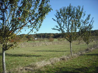  Terrain � louer 1500 m�