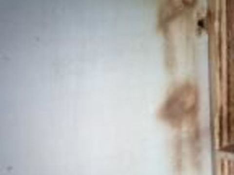 canaris 25 33750 Beychac-et-caillau