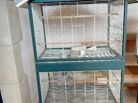 Cage double  100 38200 Jardin