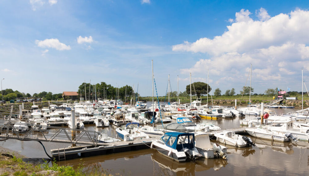 Appartements neufs   Le Teich (33470)