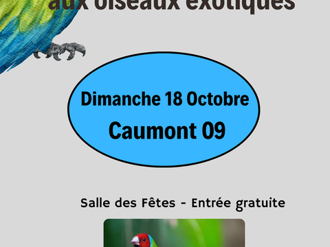 Oiseaux exotiques 0 31220 Le plan
