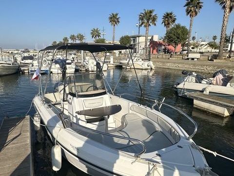 Bateaux &agrave; moteur P&ecirc;che-promenade 2011 occasion Le Grau-du-Roi 30240