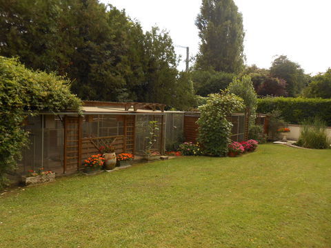 panneaux de volieres à démonter 50 86280 Saint-benot