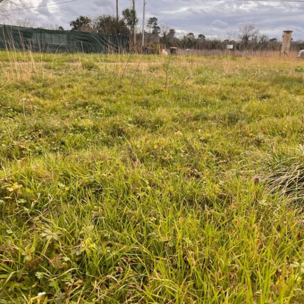 Maisons neuves   Ayguemorte-les-Graves (33640)